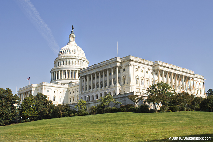 US? Capitol